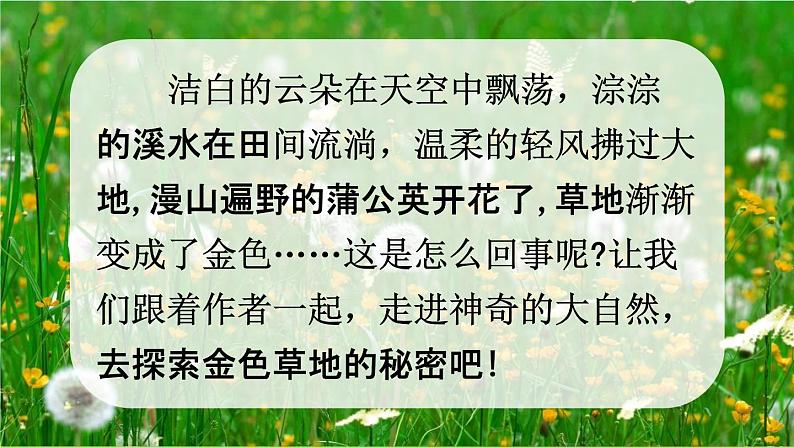 人教统编版三年级语文上册《16 金色的草地 第1课时》课堂教学课件PPT小学公开课第3页