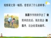 人教统编版三年级语文上册《口语交际：我的暑假生活》课堂教学课件PPT小学公开课