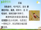 人教统编版三年级语文上册《25 灰雀 第1课时》课堂教学课件PPT小学公开课