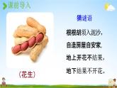 人教统编版五年级语文上册《2 落花生 第1课时》课堂教学课件PPT小学公开课