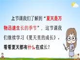 人教统编版六年级语文上册《16 夏天里的成长 第2课时》课堂教学课件PPT小学公开课