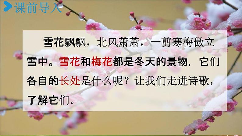 人教统编版四年级语文上册《9 古诗三首 第3课时》课堂教学课件PPT小学公开课02