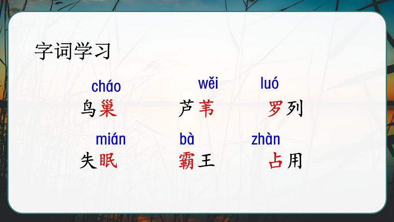 部编版语文　四年级上册《现代诗二首　秋晚的江上》　课件07