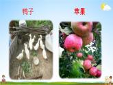 人教统编版一年级语文上册《7 大小多少 第2课时》课堂教学课件PPT小学公开课