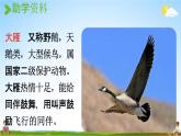 人教统编版一年级语文上册《1 秋天 第1课时》课堂教学课件PPT小学公开课