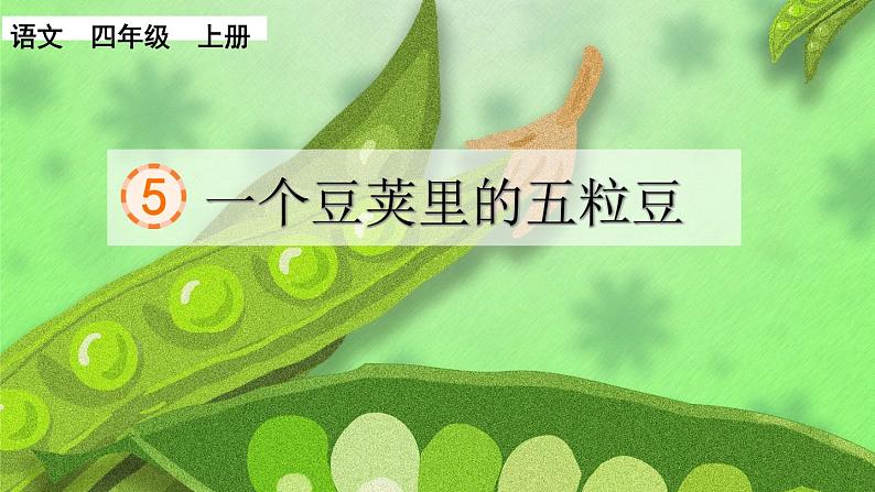 部编版语文　四年级上册《一个豆荚里的五粒豆》　课件第1页