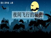 部编版语文　四年级上册《夜间飞行的秘密》　课件