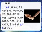部编版语文　四年级上册《夜间飞行的秘密》　课件