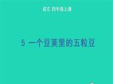四年级语文上册 第二单元 5 一个豆荚里的五粒豆教学课件 新人教版