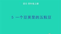 人教部编版四年级上册5 一个豆荚里的五粒豆教学ppt课件