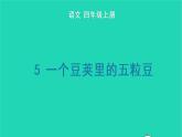 四年级语文上册 第二单元 5 一个豆荚里的五粒豆生字课件 新人教版