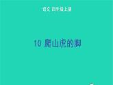 四年级语文上册 第三单元 10 爬山虎的脚教学课件 新人教版