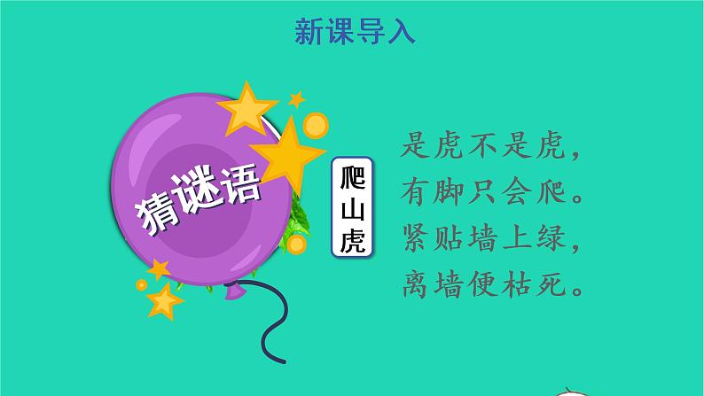 四年级语文上册 第三单元 10 爬山虎的脚教学课件 新人教版02