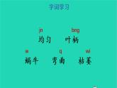 四年级语文上册 第三单元 10 爬山虎的脚教学课件 新人教版