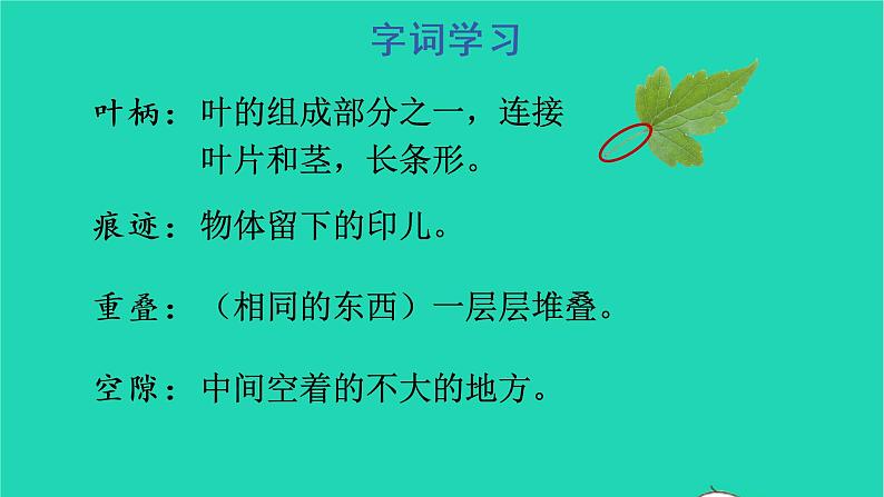 四年级语文上册 第三单元 10 爬山虎的脚教学课件 新人教版08