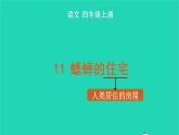 四年级语文上册 第三单元 11 蟋蟀的住宅教学课件 新人教版
