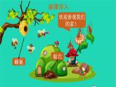 四年级语文上册 第三单元 11 蟋蟀的住宅教学课件 新人教版