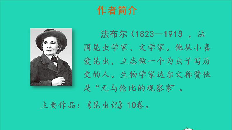 2022四年级语文上册 第三单元 11 蟋蟀的住宅教学课件 新人教版第3页