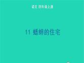四年级语文上册 第三单元 11 蟋蟀的住宅生字课件 新人教版