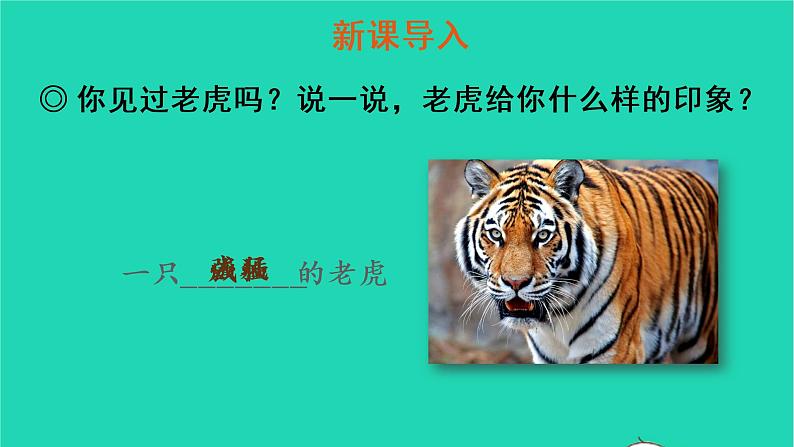 四年级语文上册 第六单元 19 一只窝囊的大老虎教学课件 新人教版02