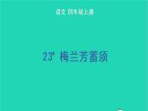 四年级语文上册 第七单元 23 梅兰芳蓄须教学课件 新人教版