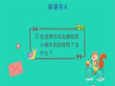 四年级语文上册 第七单元 习作：写信教学课件 新人教版