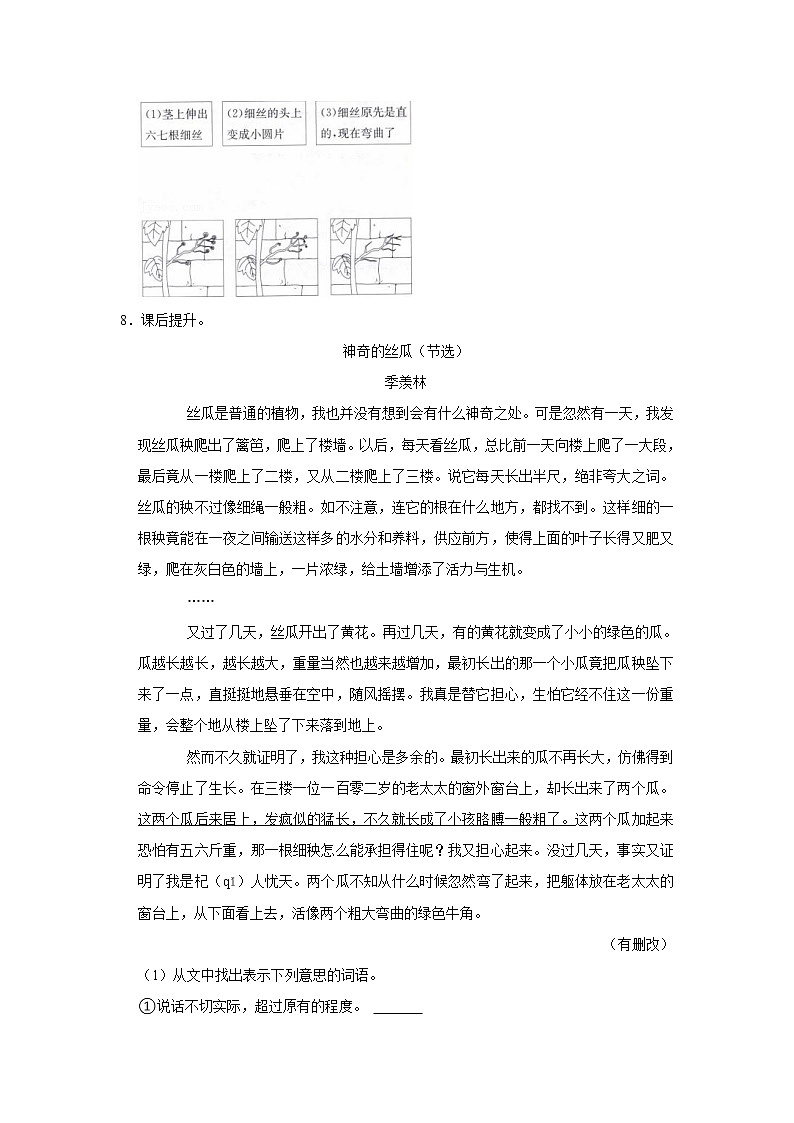 （培优篇）部编版四年级同步分层作业10+爬山虎的脚第2页