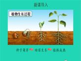 2022三年级语文上册 第三单元 9 那一定会很好教学课件 新人教版