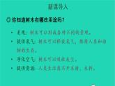 2022三年级语文上册 第三单元 9 那一定会很好教学课件 新人教版