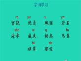 2022三年级语文上册 第六单元 18 富饶的西沙群岛教学课件 新人教版