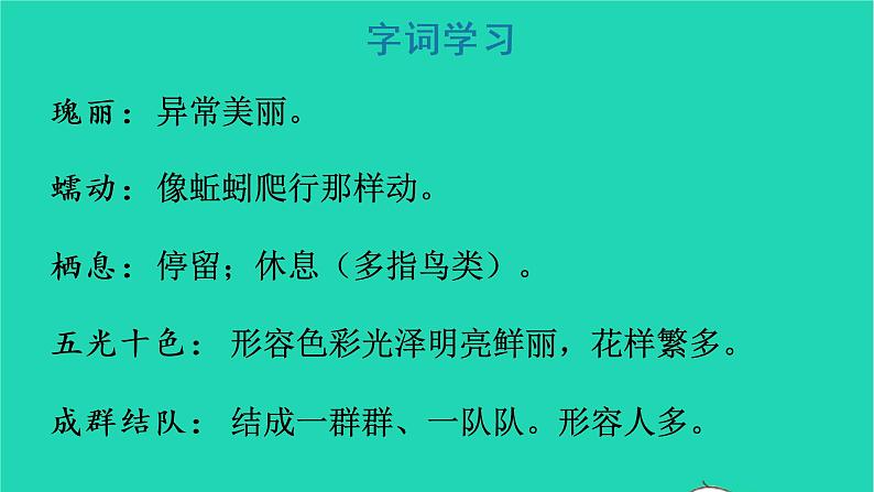 2022三年级语文上册 第六单元 18 富饶的西沙群岛教学课件 新人教版第8页