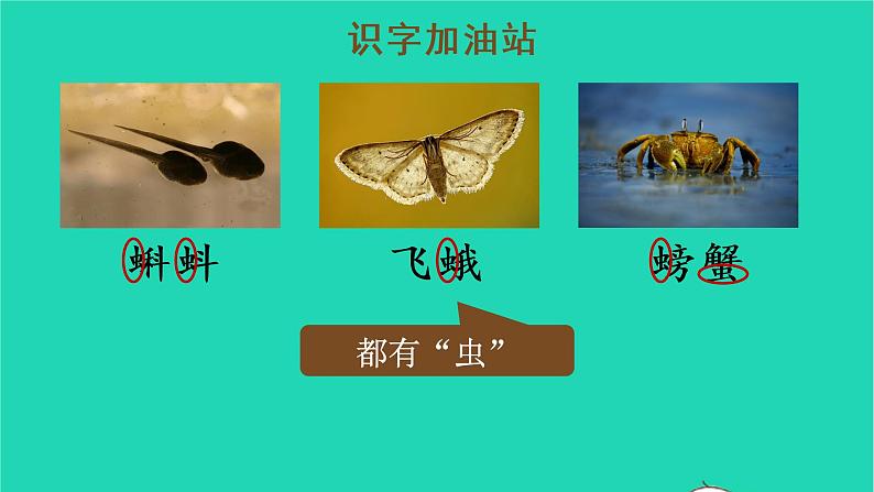 2022三年级语文上册 第六单元 语文园地六教学课件 新人教版07