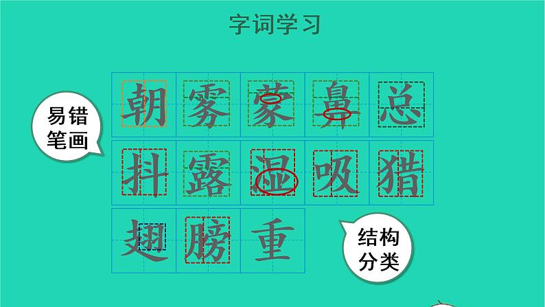 2022三年级语文上册 第七单元 23 父亲、树林和鸟教学课件 新人教版05