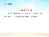 人教版（部编版）小学语文一年级上册课文（二）6.比尾巴   课件10