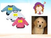 人教版（部编版）小学语文一年级上册课文（二）6.比尾巴   课件9