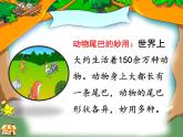 人教版（部编版）小学语文一年级上册课文（二）6.比尾巴   课件11