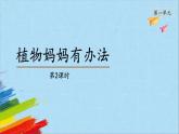 部编版二年级语文上册《植物妈妈有办法》第2课时教学课件