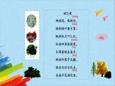 部编版二年级语文上册《树之歌》第1课时教学课件