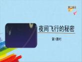 部编版四年级语文上册《夜间飞行的秘密》第1课时教学课件