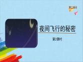 部编版四年级语文上册《夜间飞行的秘密》第2课时教学课件
