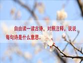 部编版语文　四年级上册《古诗三首　雪梅》　课件