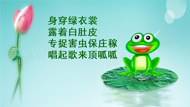 人教版（部编版）小学语文一年级上册课文（二）7.青蛙写诗   课件302