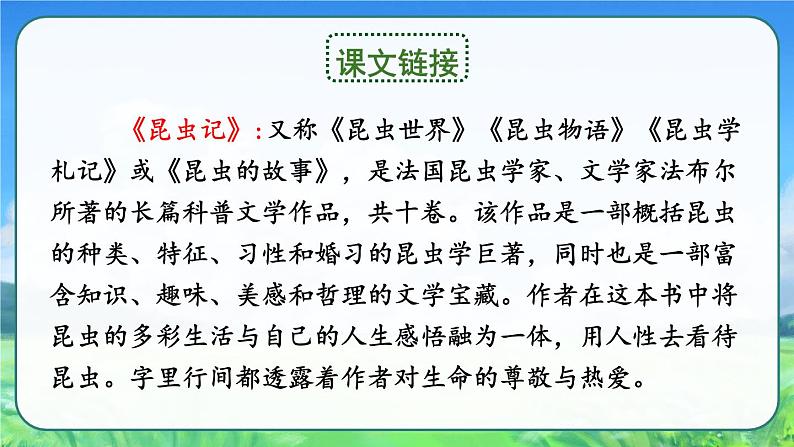 部编版语文　四年级上册《蟋蟀的住宅》　课件06