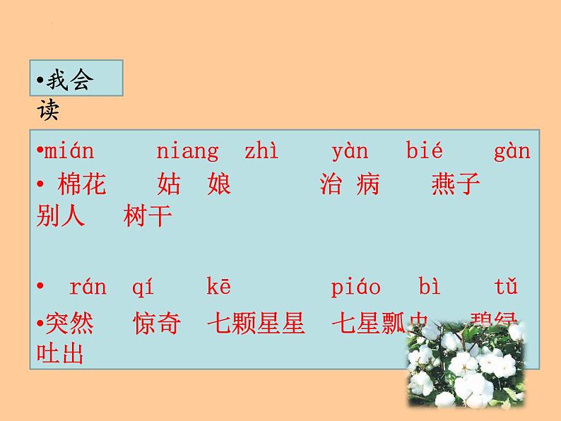 部编版小学语文一年级2021-2022学年语文一年级下册19《棉花姑娘》（课件）05