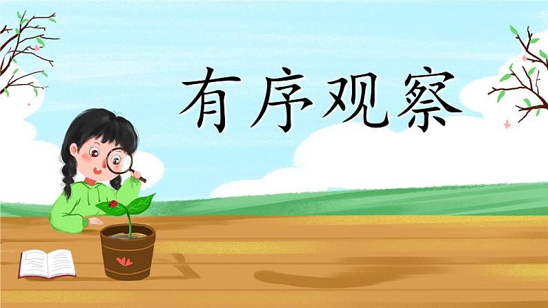 部编版小学语文一年级下册8-1有序观察期末复习课件第1页