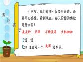 部编版小学语文一年级下册8-1有序观察期末复习课件