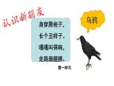 部编版小学语文一年级上册13乌鸦喝水(24)课件