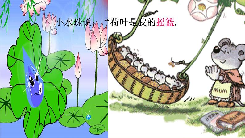 部编版小学语文一年级下册13 荷叶圆圆(10) 课件第6页