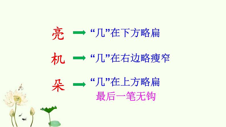 部编版小学语文一年级下册13 荷叶圆圆 课件第7页