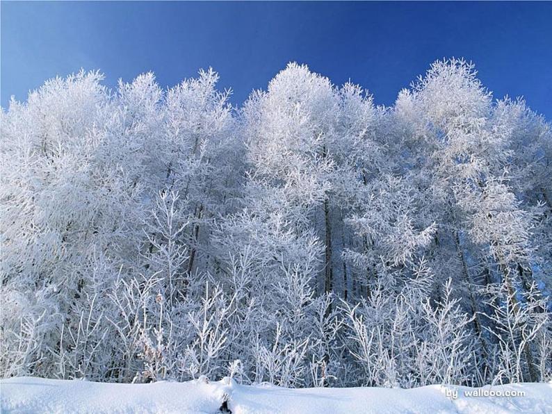 部编版小学语文一年级上册12雪地里的小画家课件04